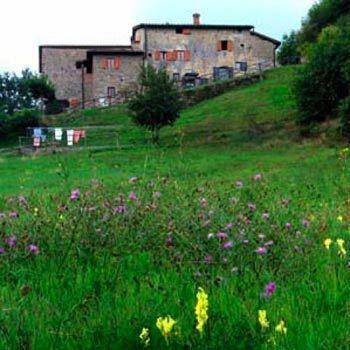 La Ghiandaia Casa *
